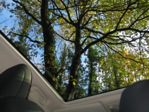 New Honda CR-V range - The panoramic sunroof is worth having.