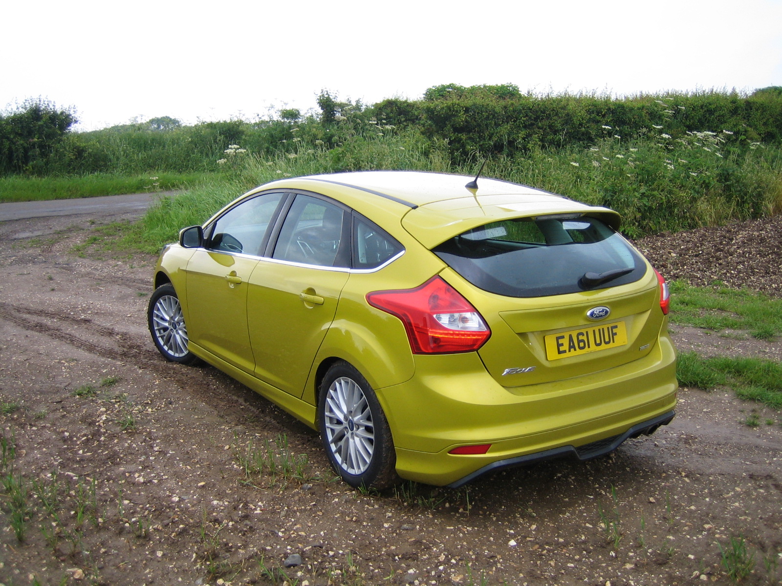 Ford focus lemons #9